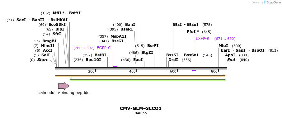 54350_map