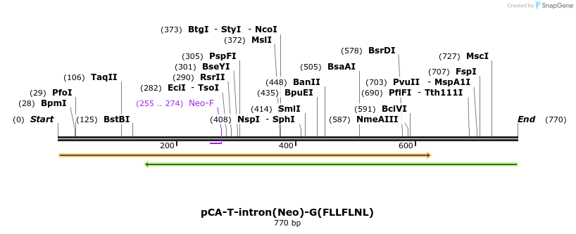 54352_map
