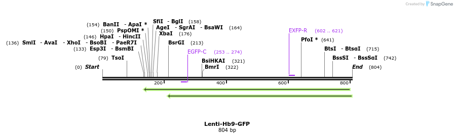 54364_map