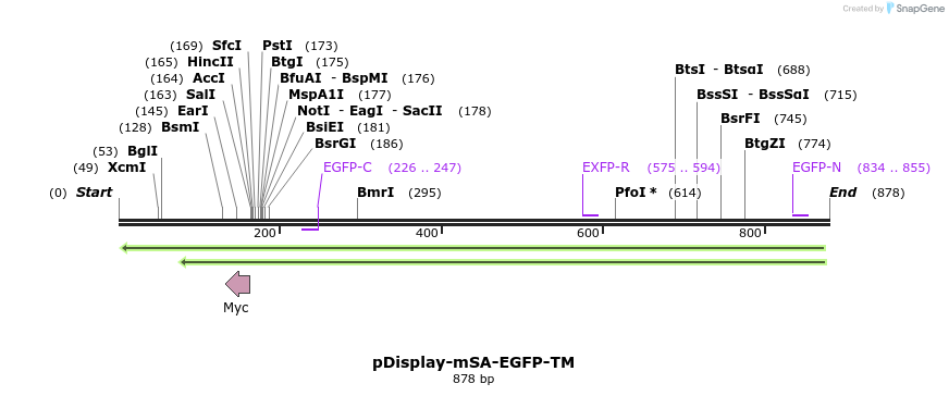 54367_map