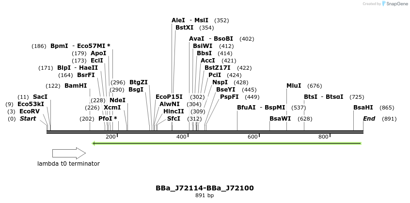54371_map