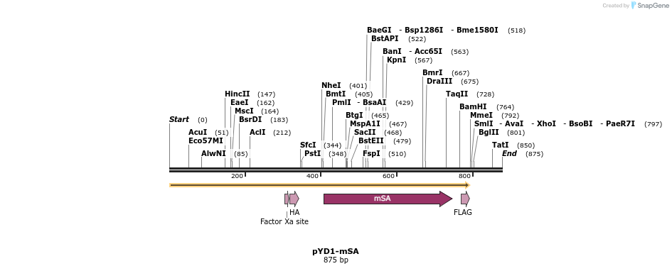 54372_map