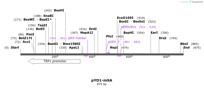 54373_map