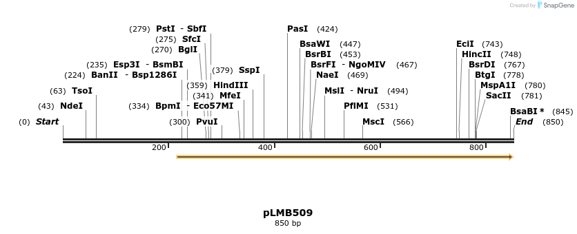 54375_map