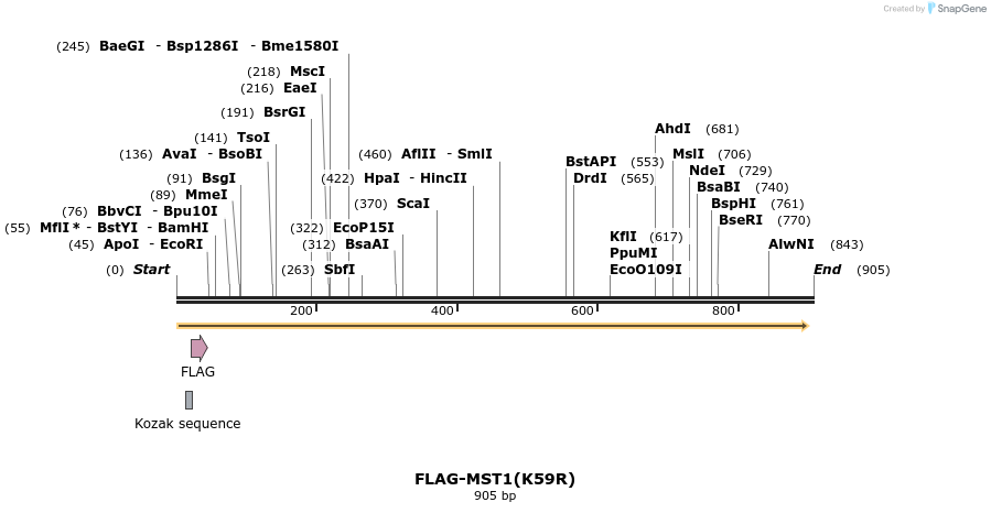54379_map