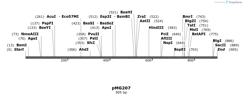 54380_map