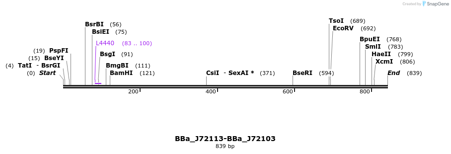 54382_map