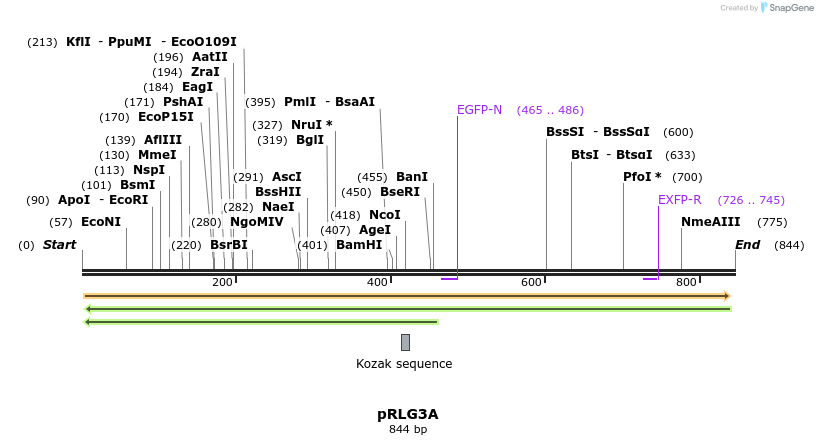 54384_map