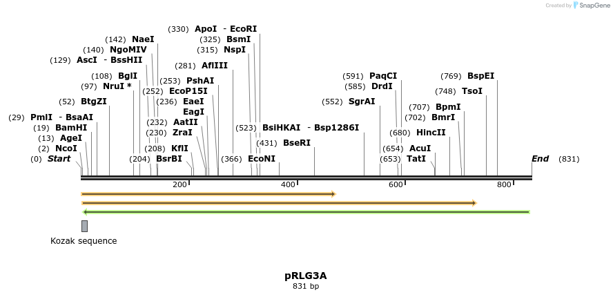 54385_map