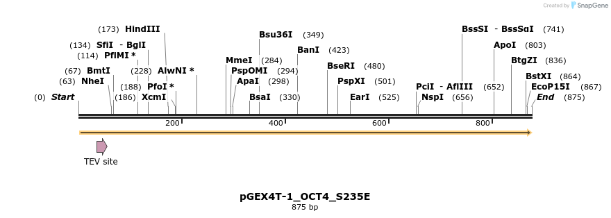 54396_map