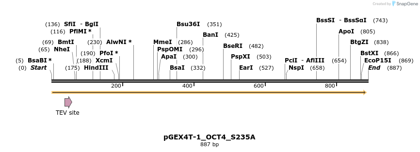 54400_map