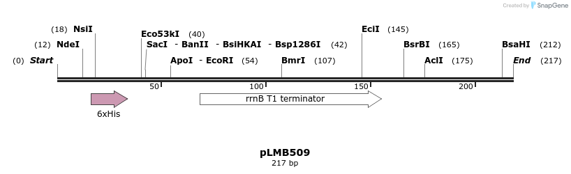 54401_map