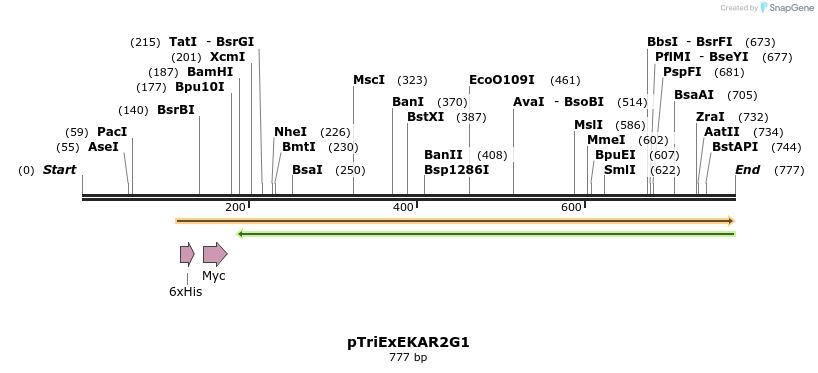 54405_map