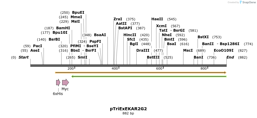 54406_map
