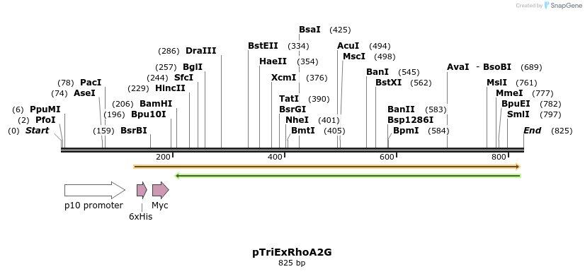 54408_map