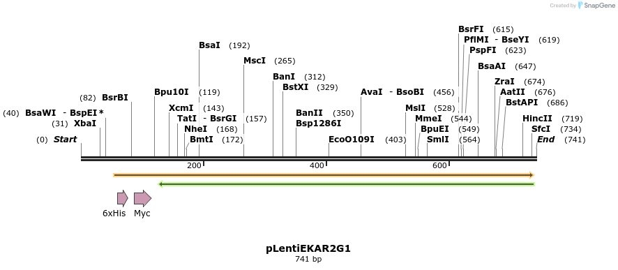 54410_map