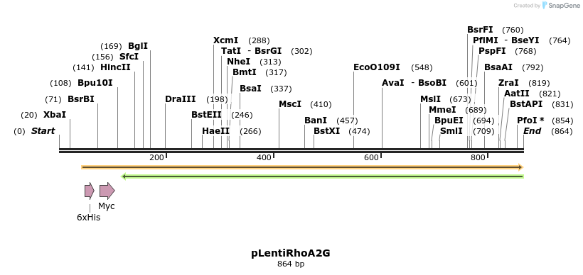 54413_map