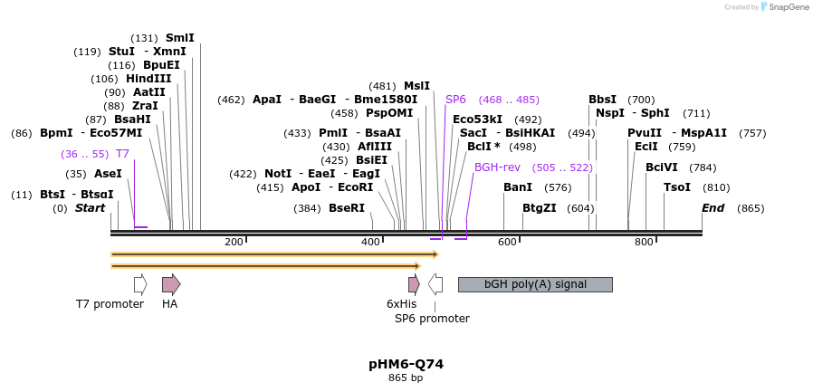 54416_map