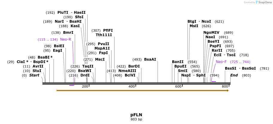 54421_map
