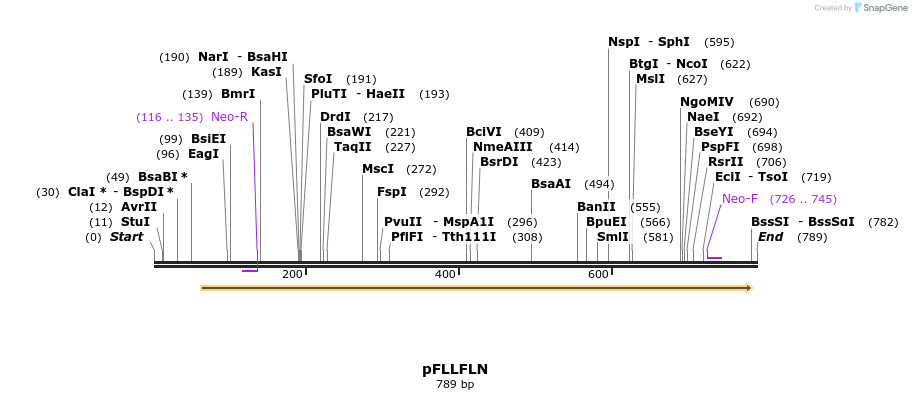 54422_map