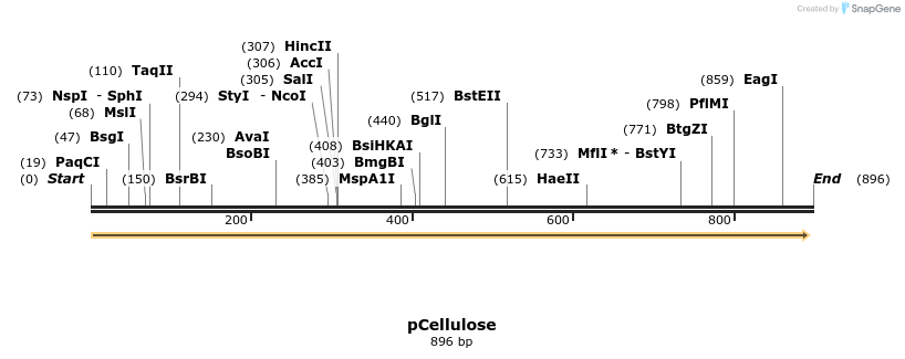 54423_map