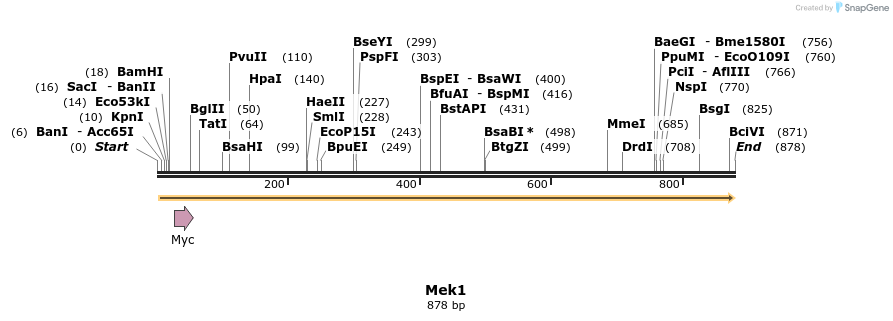 54428_map