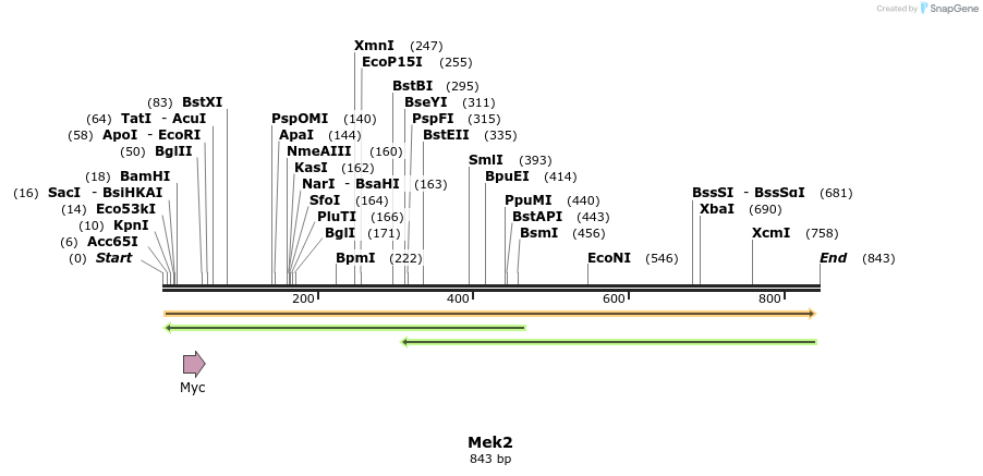 54431_map