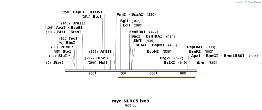 54439_map
