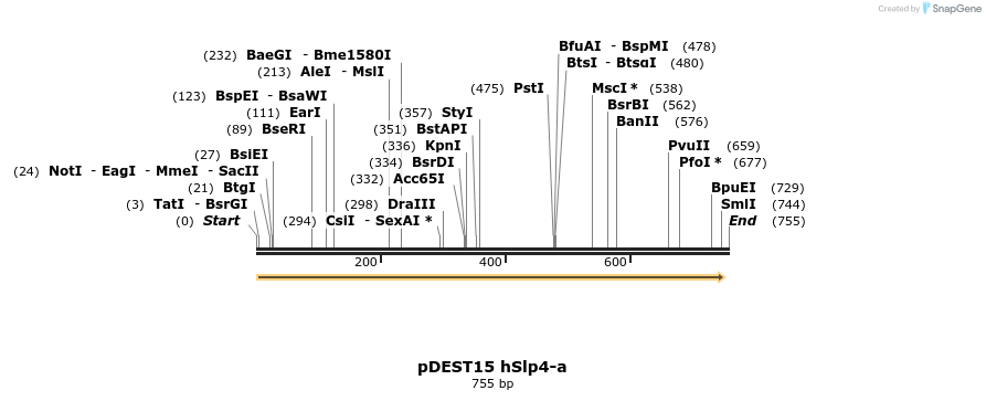 54453_map