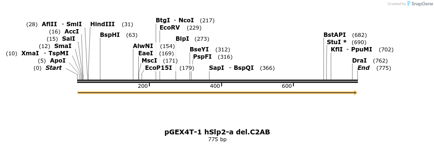 54460_map
