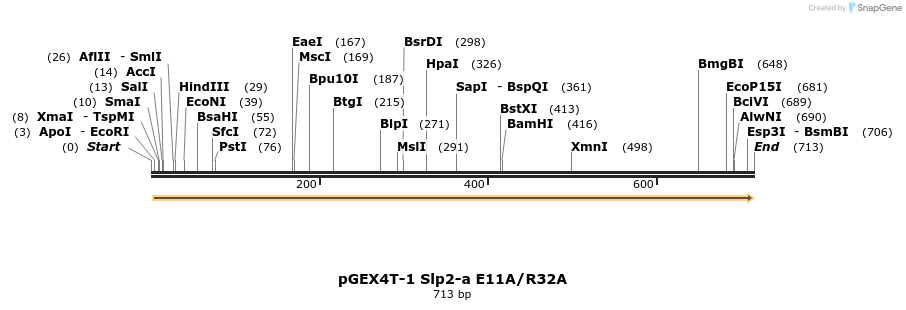 54461_map