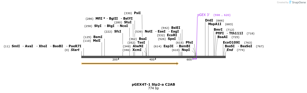 54462_map