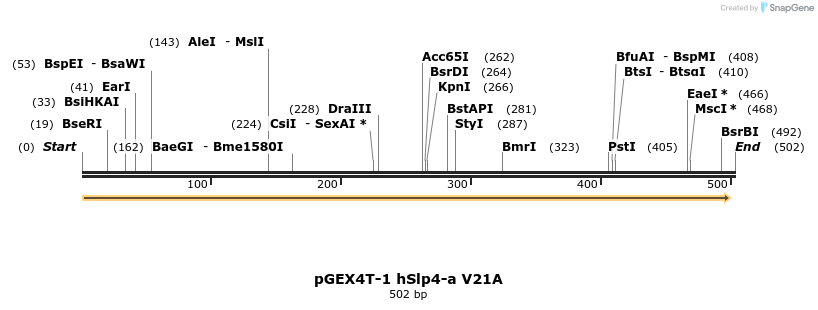 54467_map