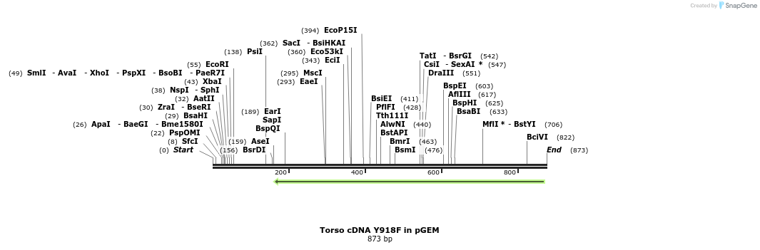 54468_map
