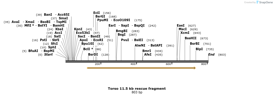 54480_map
