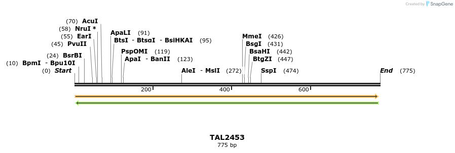 54482_map