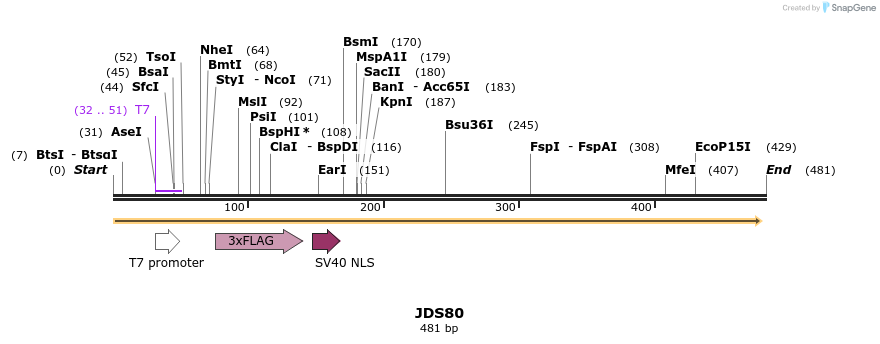 54484_map
