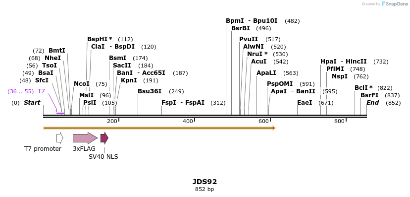 54491_map