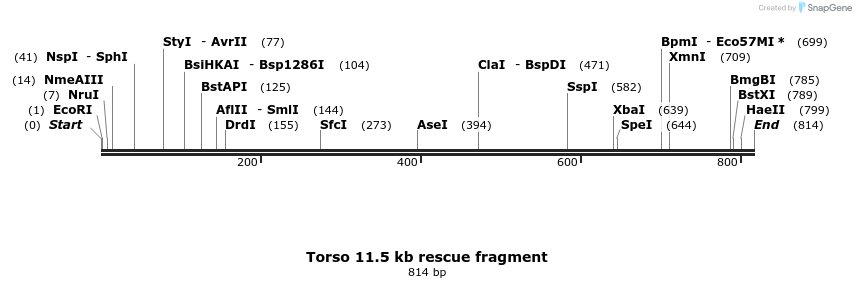 54492_map