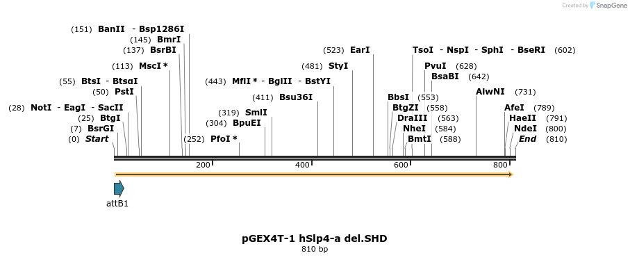 54496_map