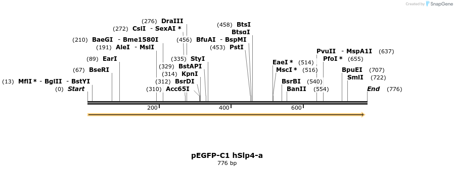 54500_map