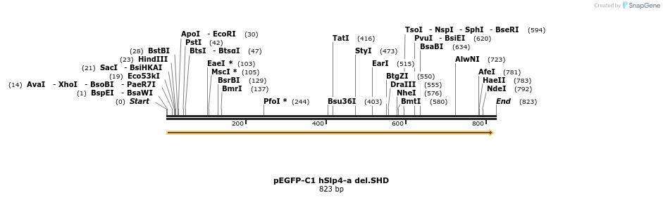 54509_map