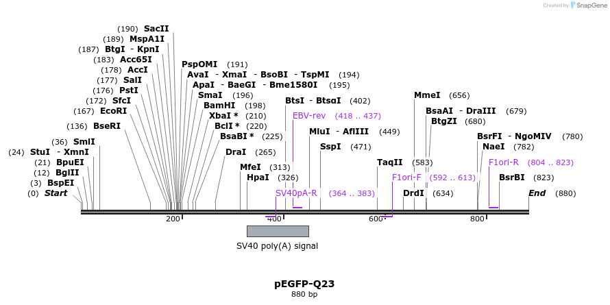 54510_map