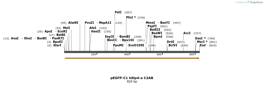 54511_map
