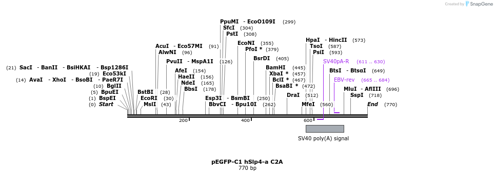 54515_map