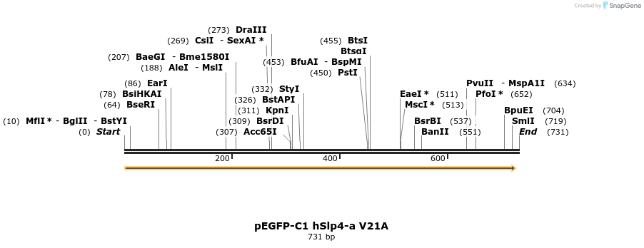 54518_map