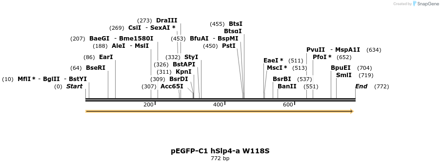 54519_map