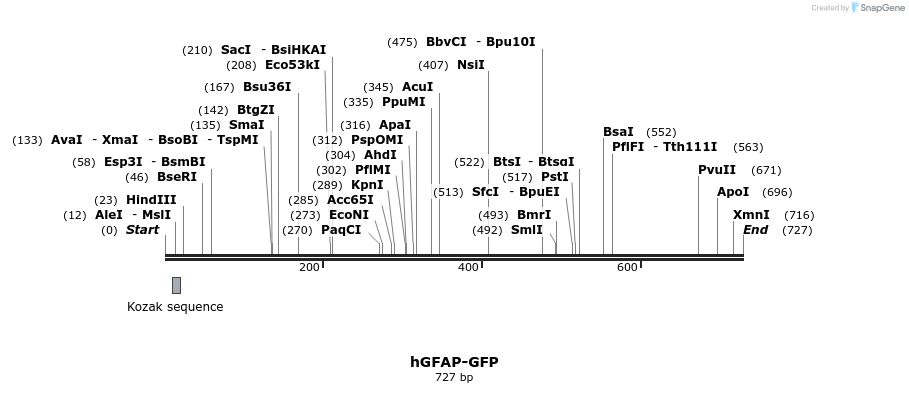 54522_map