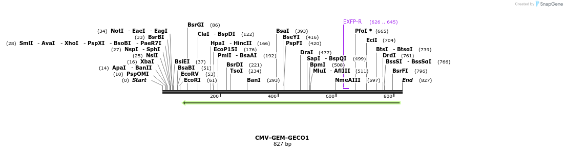 54525_map