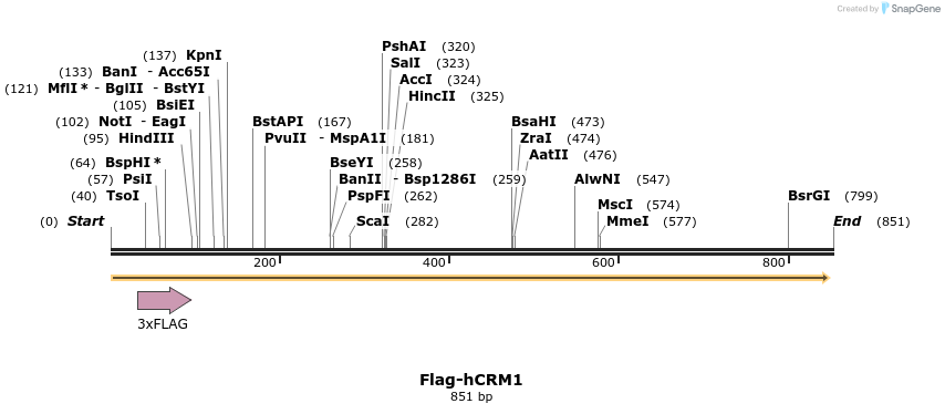 54527_map